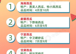 娱乐吃瓜押韵文案,吃瓜群众笑翻天